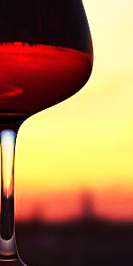 winemaking-help-fermentistry.com