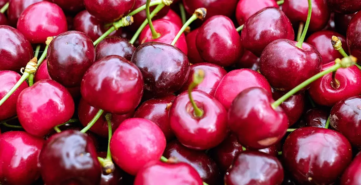 cherries for wine making