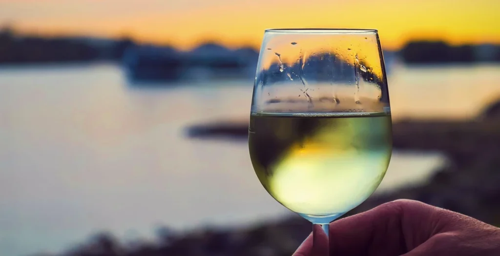 clarify homemade wine fermentistry.com