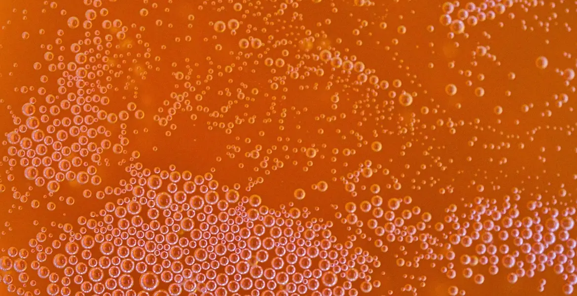 Why Did My Wine Stop Fermenting Top Causes And Solutions