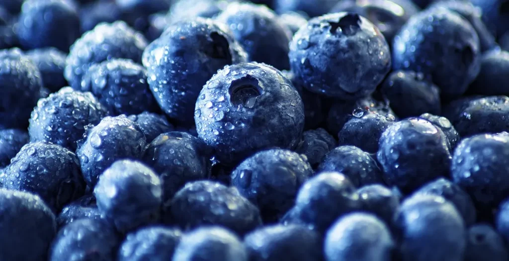 fruit for homemade blueberry wine on fermentistry.com