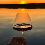 Homemade Strawberry Wine Recipe Fermentistry.com