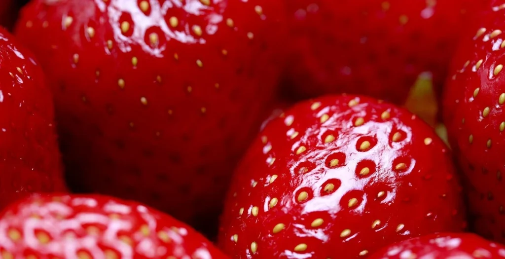 Homemade Strawberry Wine Recipe fruit Fermentistry.com