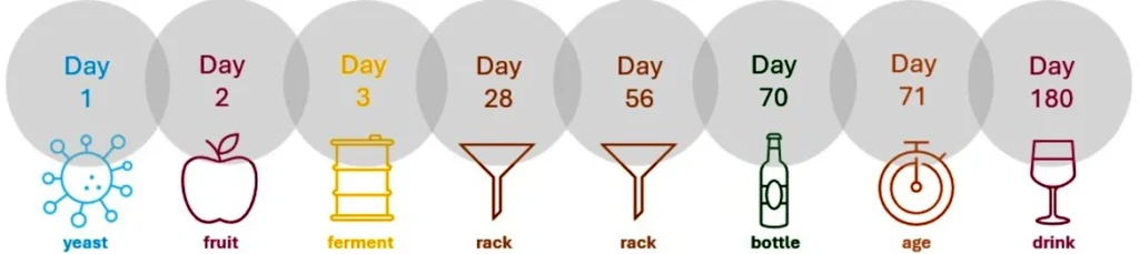 homemade wine making life cycle homemade wine making life cycle fermentistry.com